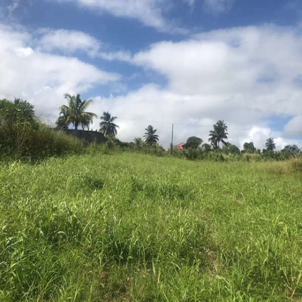 Offres de vente Terrain Capesterre-Belle-Eau 97130
