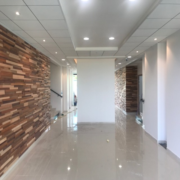 Location Immobilier Professionnel Bureaux Les Abymes 97139