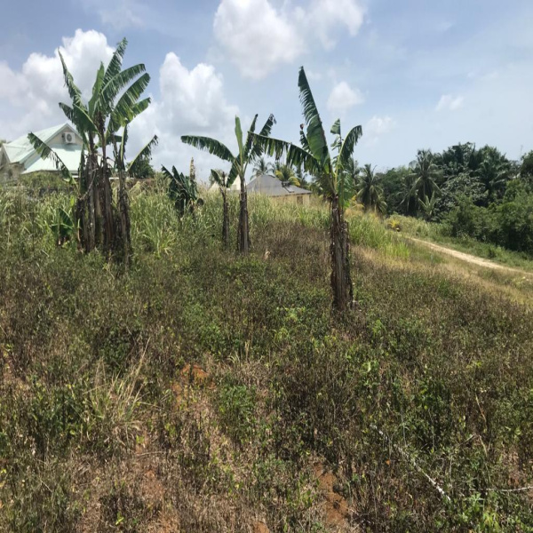 Offres de vente Terrain Lamentin 97129
