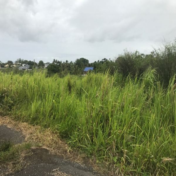 Offres de vente Terrain Baie-Mahault 97122