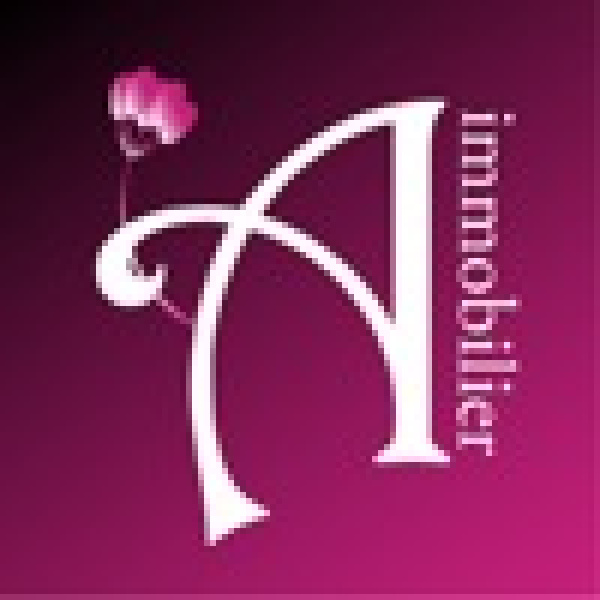 Vente Immobilier Professionnel Bureaux Les Abymes 97142