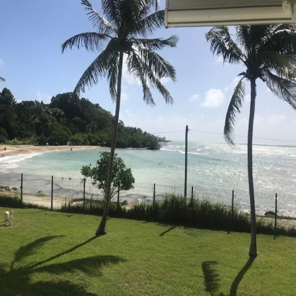 Offres de vente Appartement Gosier 97190