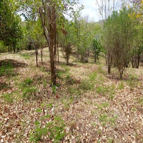 Offres de vente Terrain Saint-Louis 97134