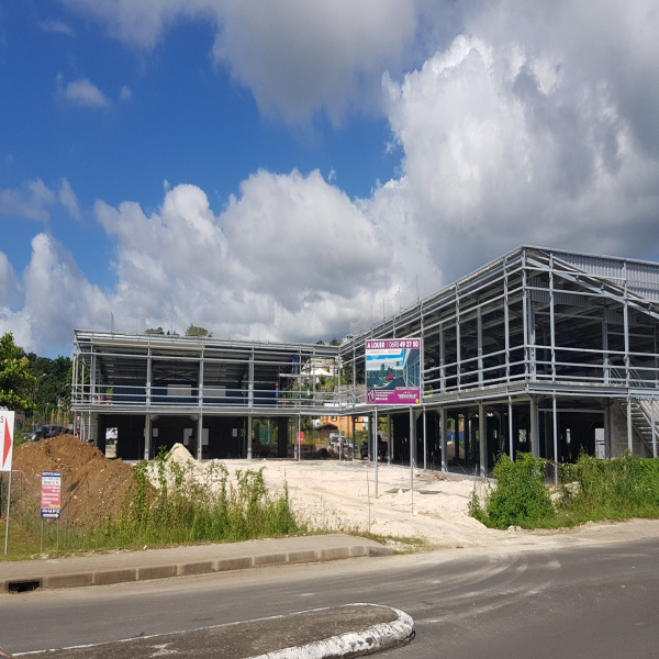 Location Immobilier Professionnel Local commercial Petit-Bourg 97170