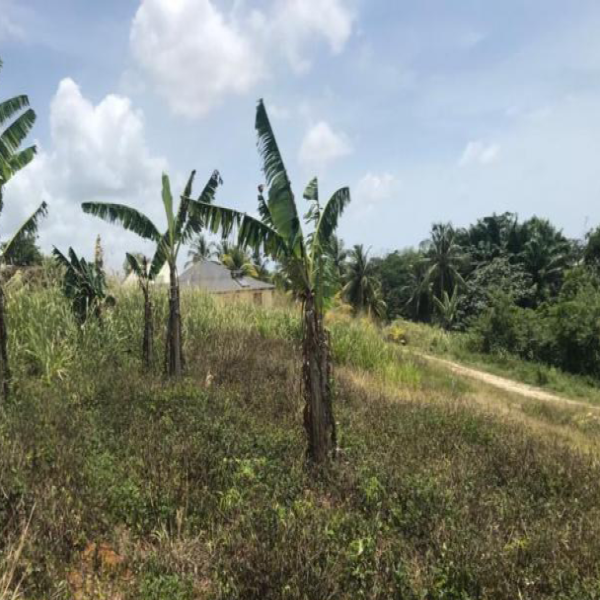 Offres de vente Terrain Lamentin 97129